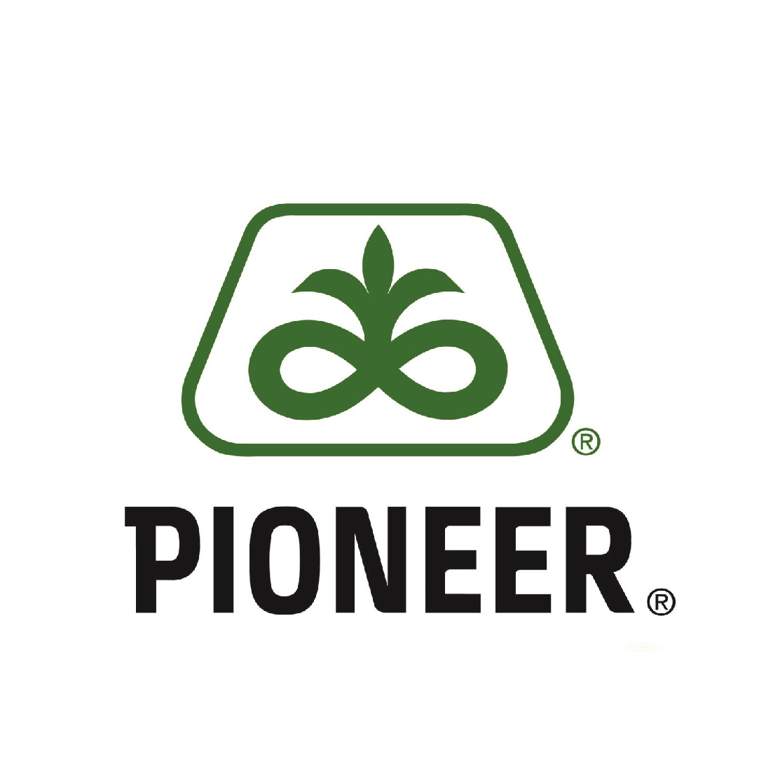 PIONEER Logo