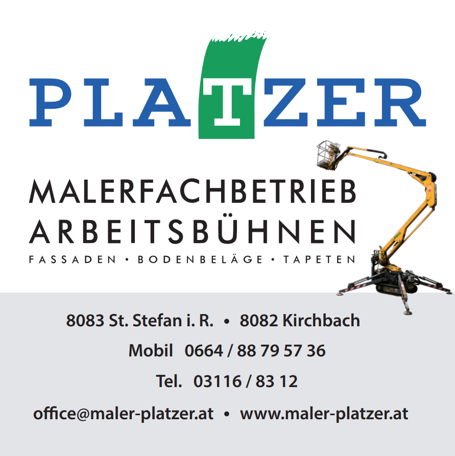 Platzer David Malerei Logo